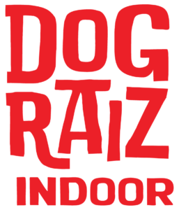 Dog Raiz Indoor Logo