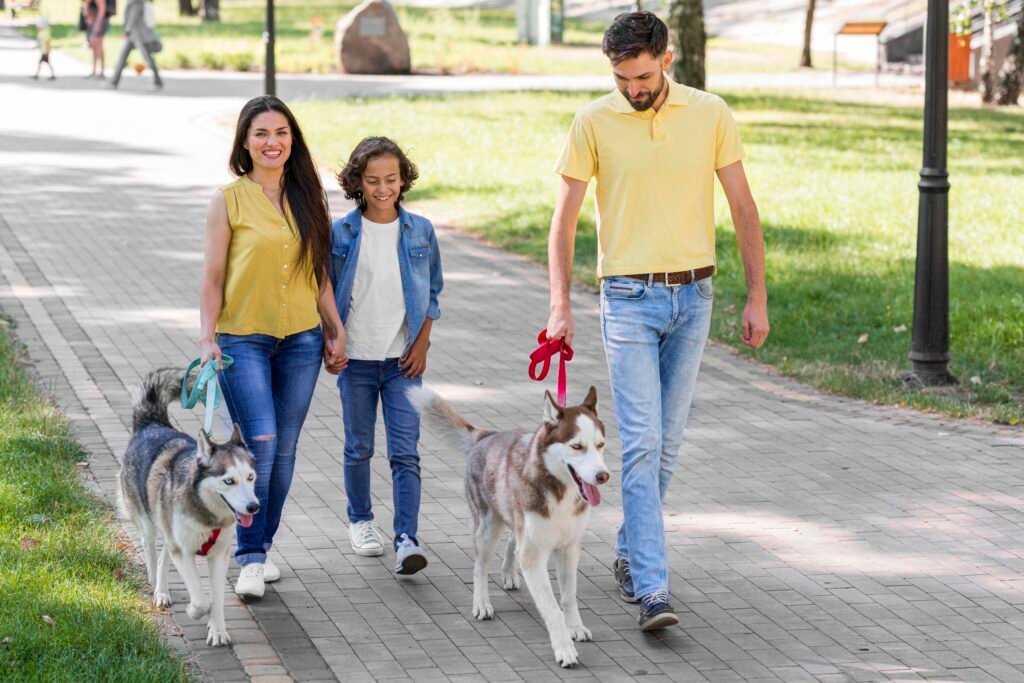 Locais pet friendly em Florianópolis para desfilar com seu pet estiloso