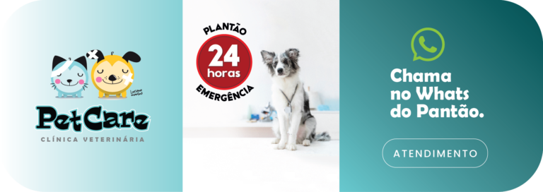 Banner LinkBio Acesso whatsapp Clinica